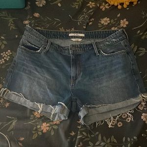 Sam Edelman denim shorts new no tags